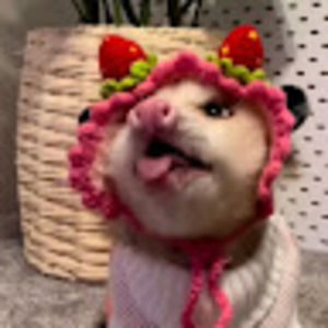 Meet your Posher, Turtle